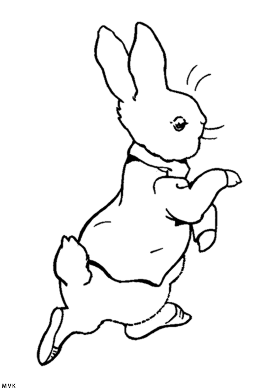 peter rabbit003